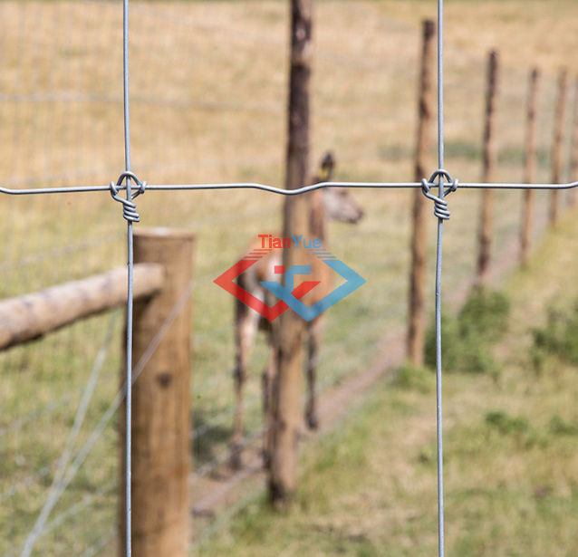Fixed Knot Fence (图4)