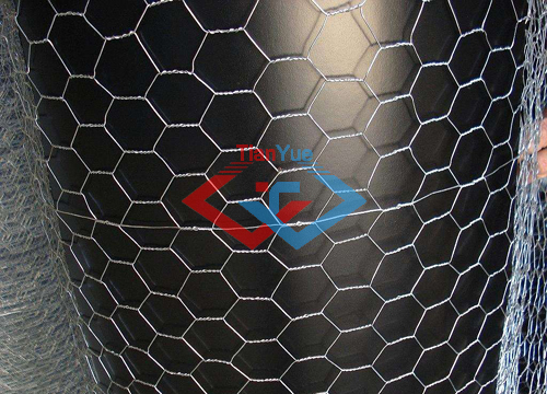 Hexagonal Wire Netting (图3)