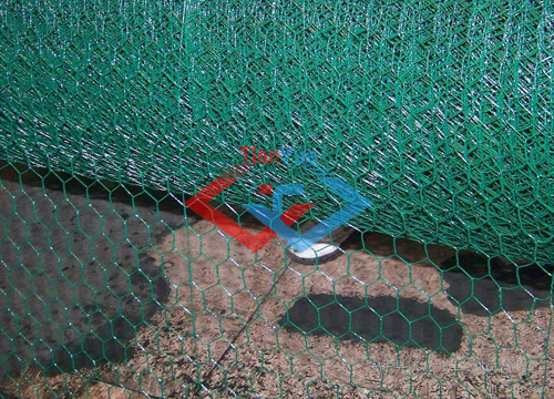 Hexagonal Wire Netting (图4)