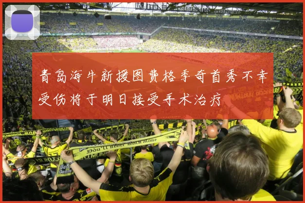 青岛海牛新援图费格季奇首秀不幸受伤将于明日接受手术治疗