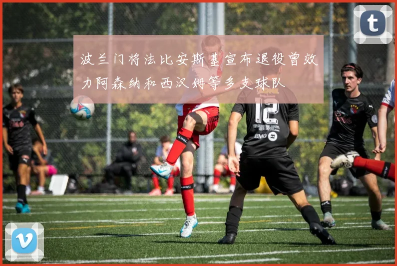 波兰门将法比安斯基宣布退役曾效力阿森纳和西汉姆等多支球队