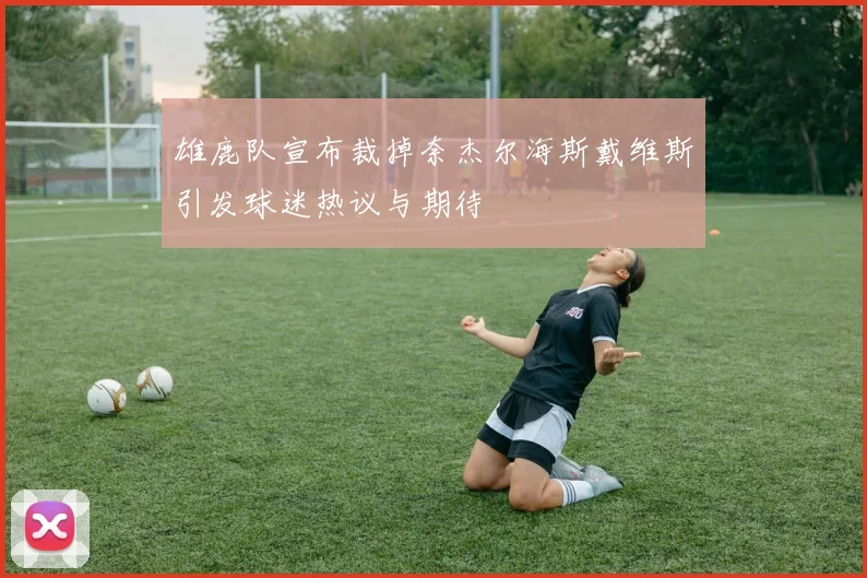 雄鹿队宣布裁掉奈杰尔海斯戴维斯引发球迷热议与期待