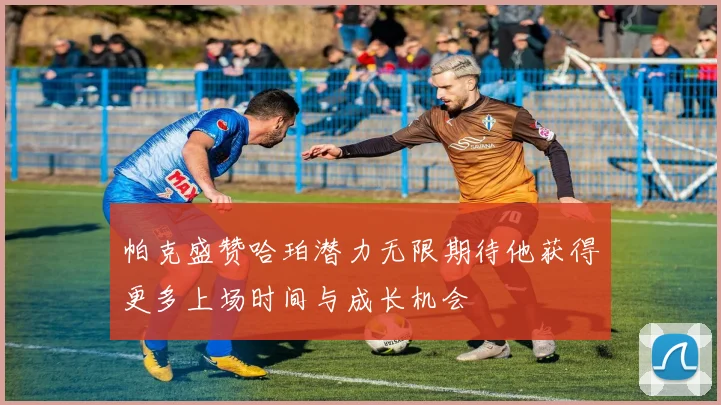 帕克盛赞哈珀潜力无限期待他获得更多上场时间与成长机会