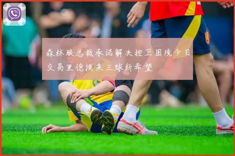 森林狼总裁承诺解决控卫困境今日交易里德换来三球新希望