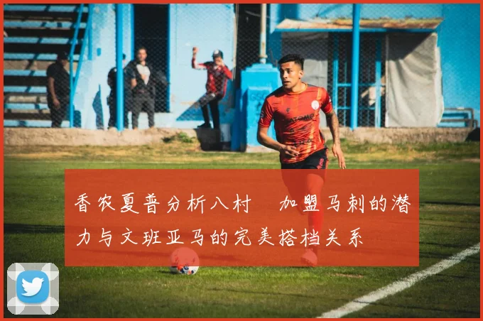 香农夏普分析八村塁加盟马刺的潜力与文班亚马的完美搭档关系